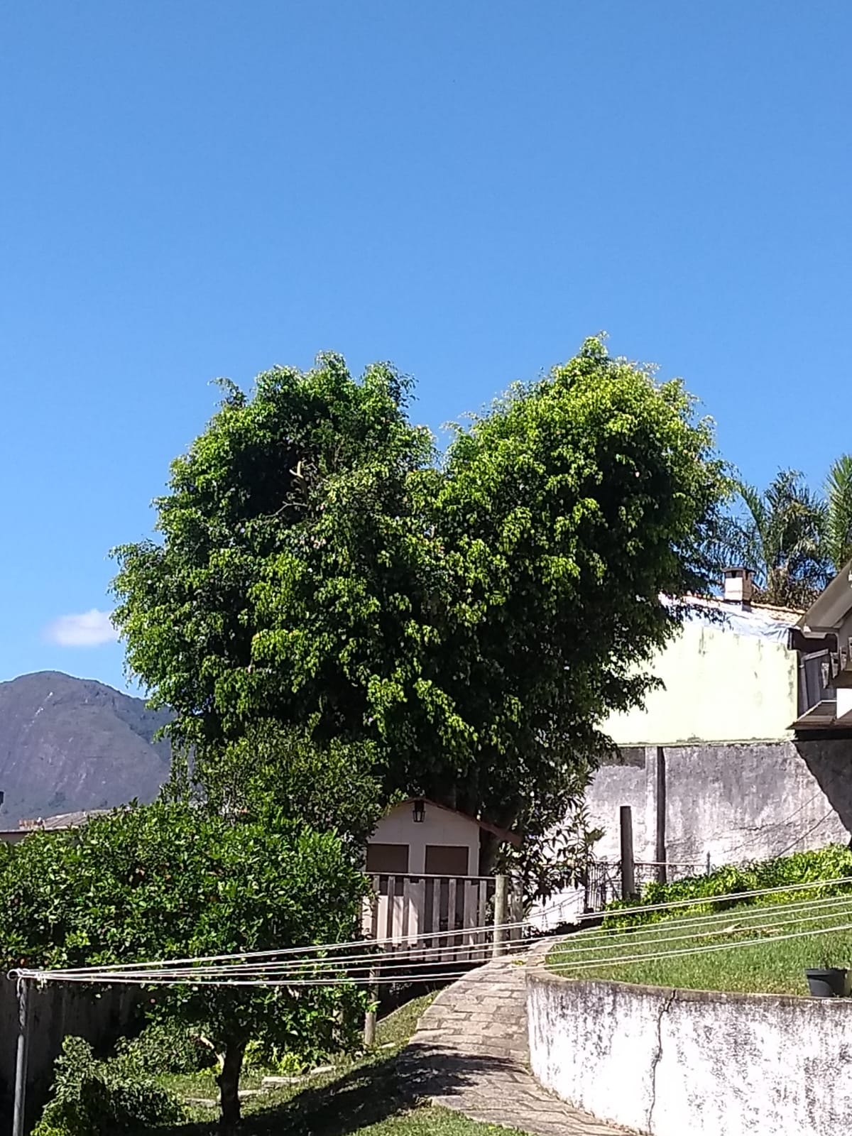 Oportunidade em Teresópolis – Imóvel com Potencial Comercial ou Residencial — Foto 8